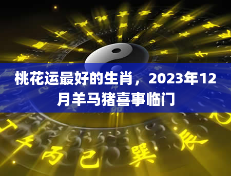 桃花运最好的生肖，2023年12月羊马猪喜事临门