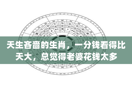 天生吝啬的生肖，一分钱看得比天大，总觉得老婆花钱太多