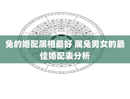 兔的婚配属相最好 属兔男女的最佳婚配表分析