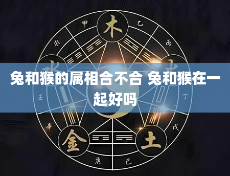 兔和猴的属相合不合 兔和猴在一起好吗