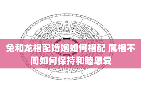 兔和龙相配婚姻如何相配 属相不同如何保持和睦恩爱