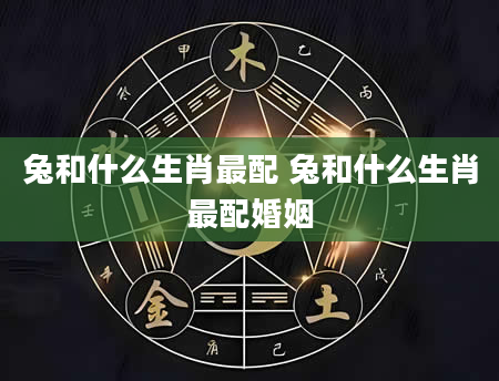 兔和什么生肖最配 兔和什么生肖最配婚姻