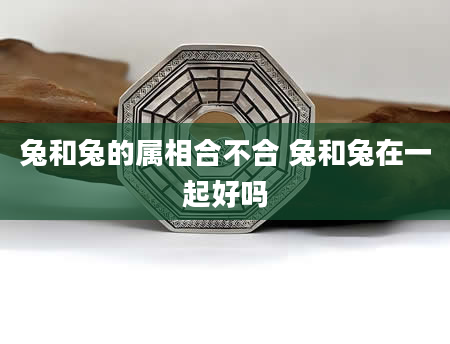 兔和兔的属相合不合 兔和兔在一起好吗