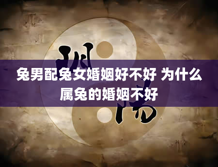兔男配兔女婚姻好不好 为什么属兔的婚姻不好