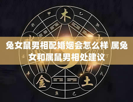 兔女鼠男相配婚姻会怎么样 属兔女和属鼠男相处建议