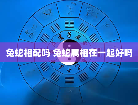 兔蛇相配吗 兔蛇属相在一起好吗
