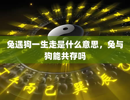 兔遇狗一生走是什么意思，兔与狗能共存吗