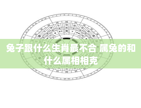 兔子跟什么生肖最不合 属兔的和什么属相相克