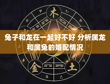 兔子和龙在一起好不好 分析属龙和属兔的婚配情况