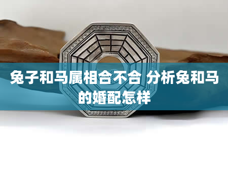 兔子和马属相合不合 分析兔和马的婚配怎样
