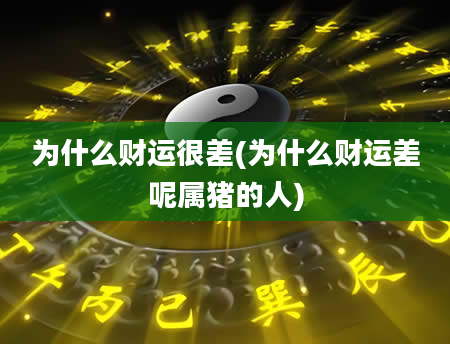为什么财运很差(为什么财运差呢属猪的人)