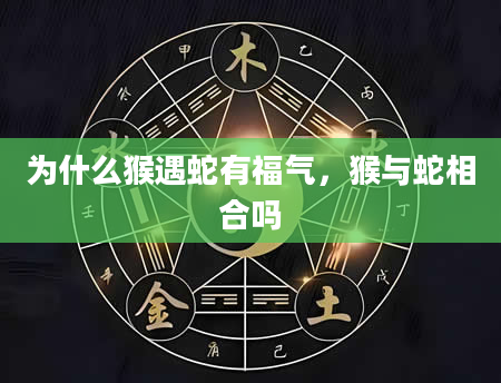 为什么猴遇蛇有福气，猴与蛇相合吗