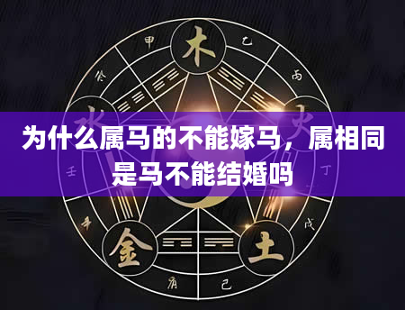 为什么属马的不能嫁马，属相同是马不能结婚吗