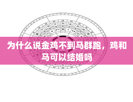 为什么说金鸡不到马群跑，鸡和马可以结婚吗