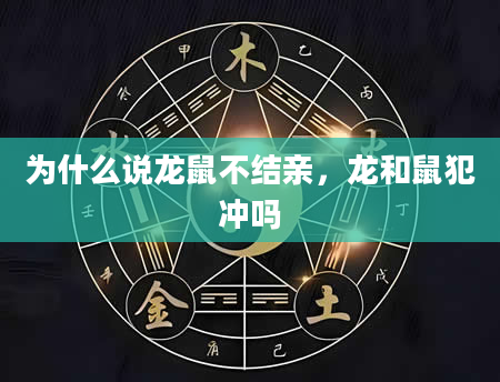 为什么说龙鼠不结亲，龙和鼠犯冲吗