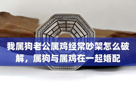 我属狗老公属鸡经常吵架怎么破解，属狗与属鸡在一起婚配