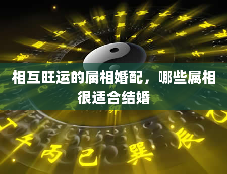 相互旺运的属相婚配，哪些属相很适合结婚