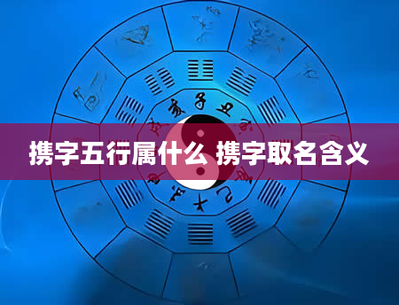 携字五行属什么 携字取名含义