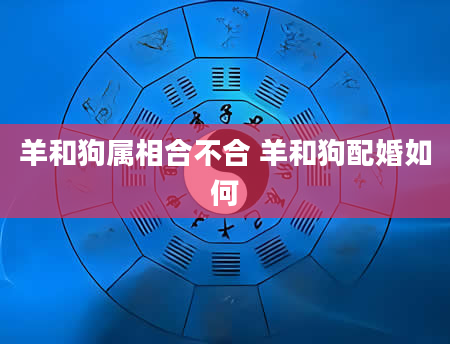 羊和狗属相合不合 羊和狗配婚如何
