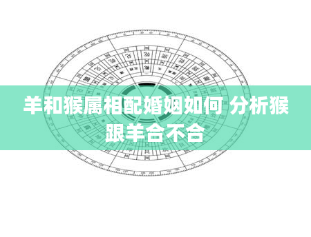 羊和猴属相配婚姻如何 分析猴跟羊合不合