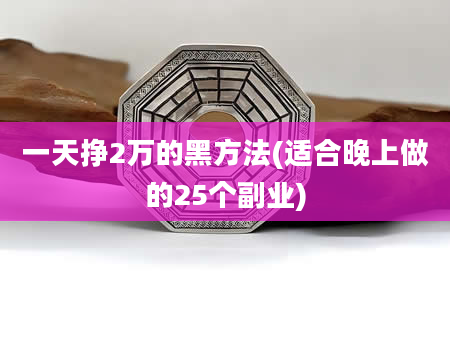 一天挣2万的黑方法(适合晚上做的25个副业)