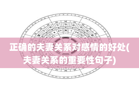 正确的夫妻关系对感情的好处(夫妻关系的重要性句子)