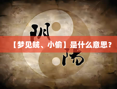 【梦见贼、小偷】是什么意思？