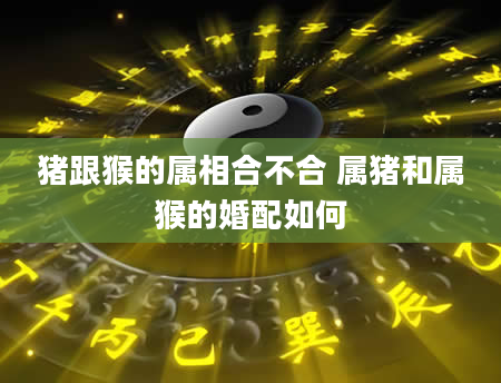 猪跟猴的属相合不合 属猪和属猴的婚配如何