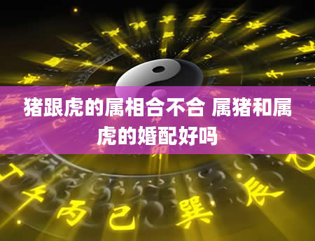 猪跟虎的属相合不合 属猪和属虎的婚配好吗
