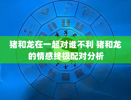 猪和龙在一起对谁不利 猪和龙的情感终极配对分析