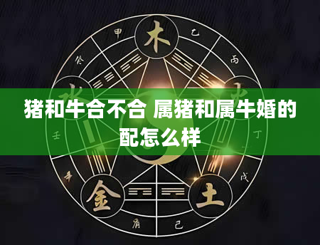 猪和牛合不合 属猪和属牛婚的配怎么样