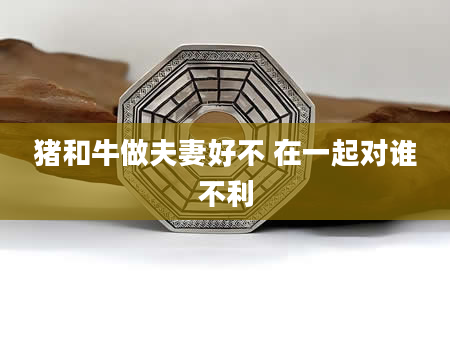 猪和牛做夫妻好不 在一起对谁不利