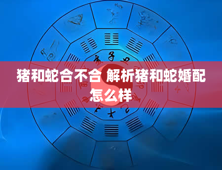 猪和蛇合不合 解析猪和蛇婚配怎么样