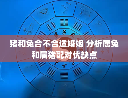 猪和兔合不合适婚姻 分析属兔和属猪配对优缺点