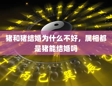 猪和猪结婚为什么不好，属相都是猪能结婚吗