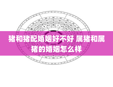 猪和猪配婚姻好不好 属猪和属猪的婚姻怎么样