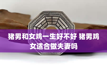 猪男和女鸡一生好不好 猪男鸡女适合做夫妻吗