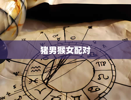 猪男猴女配对
