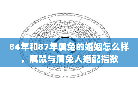 84年和87年属兔的婚姻怎么样，属鼠与属兔人婚配指数