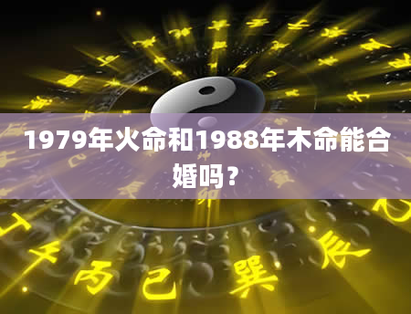 1979年火命和1988年木命能合婚吗？