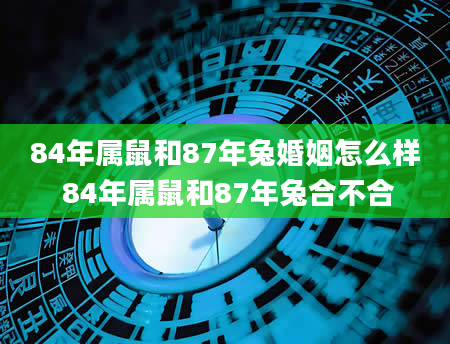 84年属鼠和87年兔婚姻怎么样 84年属鼠和87年兔合不合