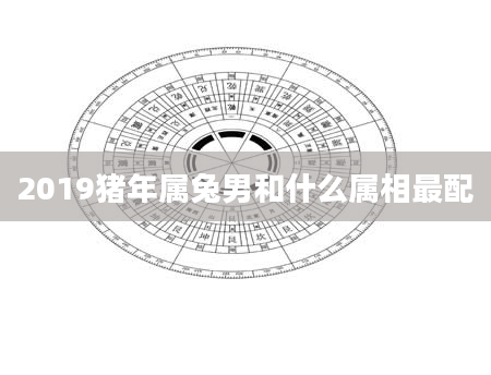 2019猪年属兔男和什么属相最配