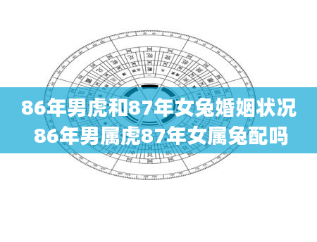 86年男虎和87年女兔婚姻状况 86年男属虎87年女属兔配吗