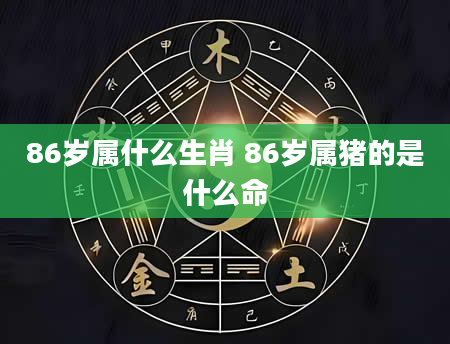 86岁属什么生肖 86岁属猪的是什么命