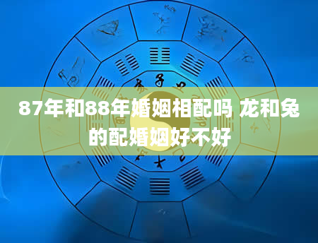 87年和88年婚姻相配吗 龙和兔的配婚姻好不好