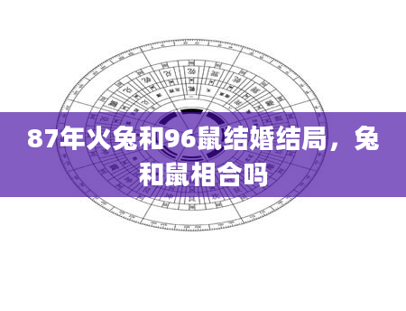 87年火兔和96鼠结婚结局，兔和鼠相合吗