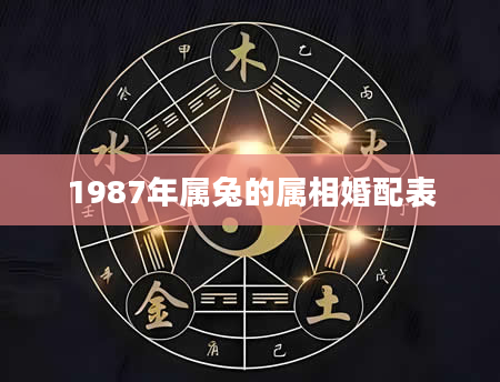 1987年属兔的属相婚配表