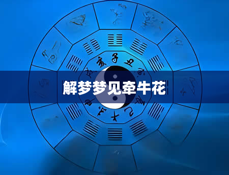 解梦梦见牵牛花
