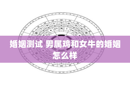 婚姻测试 男属鸡和女牛的婚姻怎么样