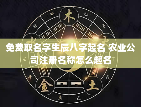 免费取名字生辰八字起名 农业公司注册名称怎么起名